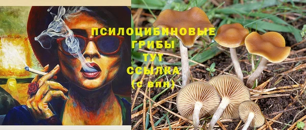 прущая мука Нягань