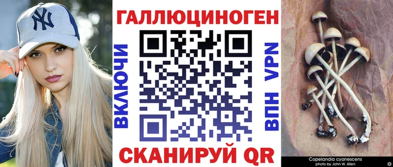 Псилоцибиновые грибы Magic Shrooms  Харовск 